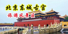欧美露天厕所清晰偷拍HD视频中国北京-东城古宫旅游风景区